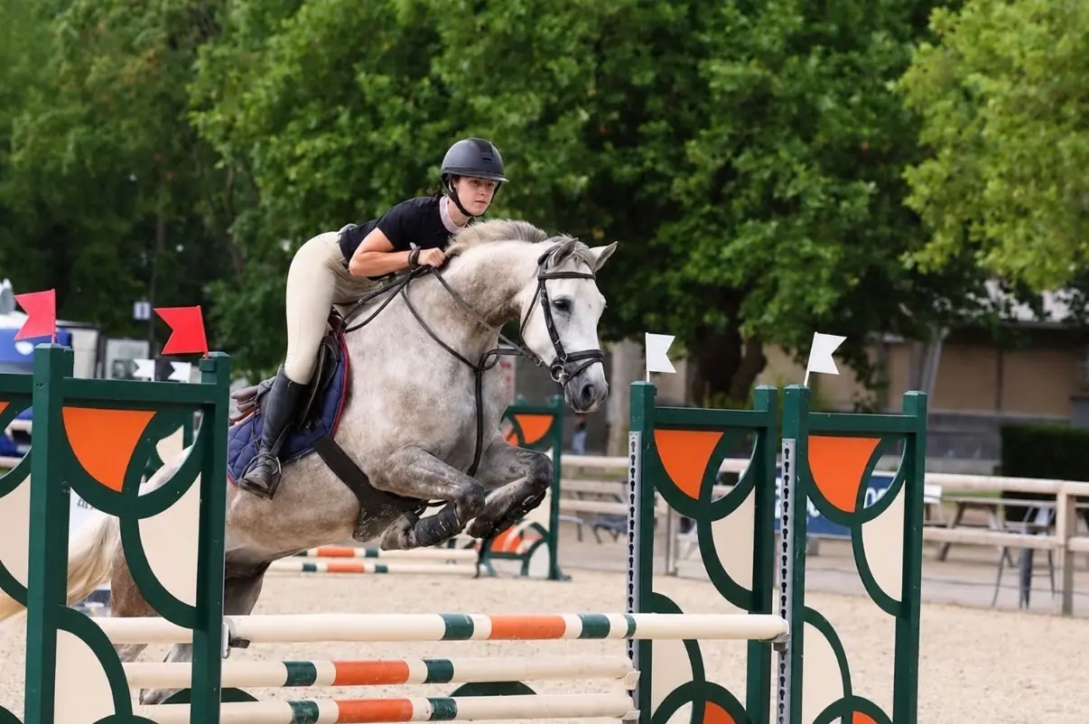 Little Chief au saut d'un oxer en concours