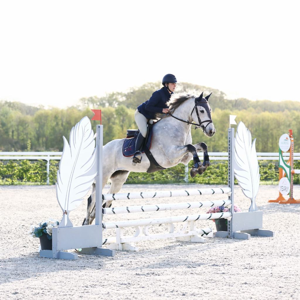 Matisse au saut d'un obstacle blanc en concours