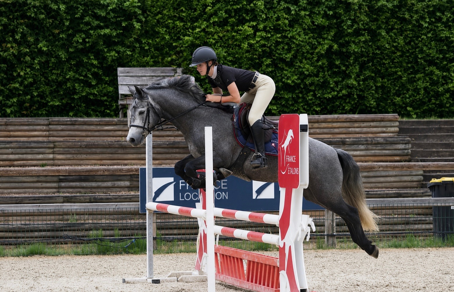 Cheval valorisé en concours