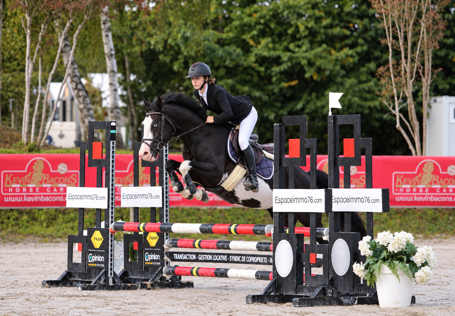 Cheval valorisé en concours