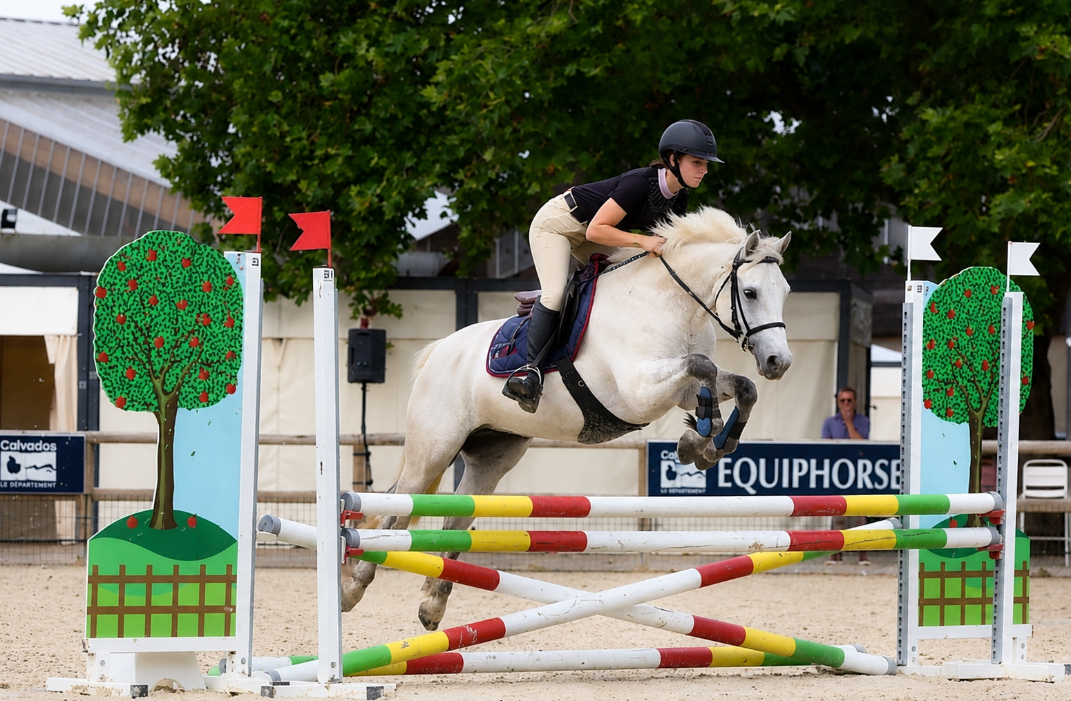 Cheval valorisé en concours