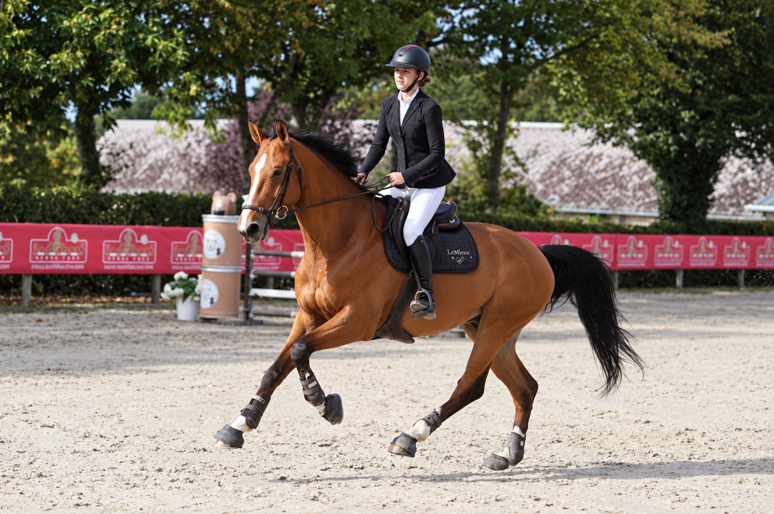 Cheval valorisé en concours