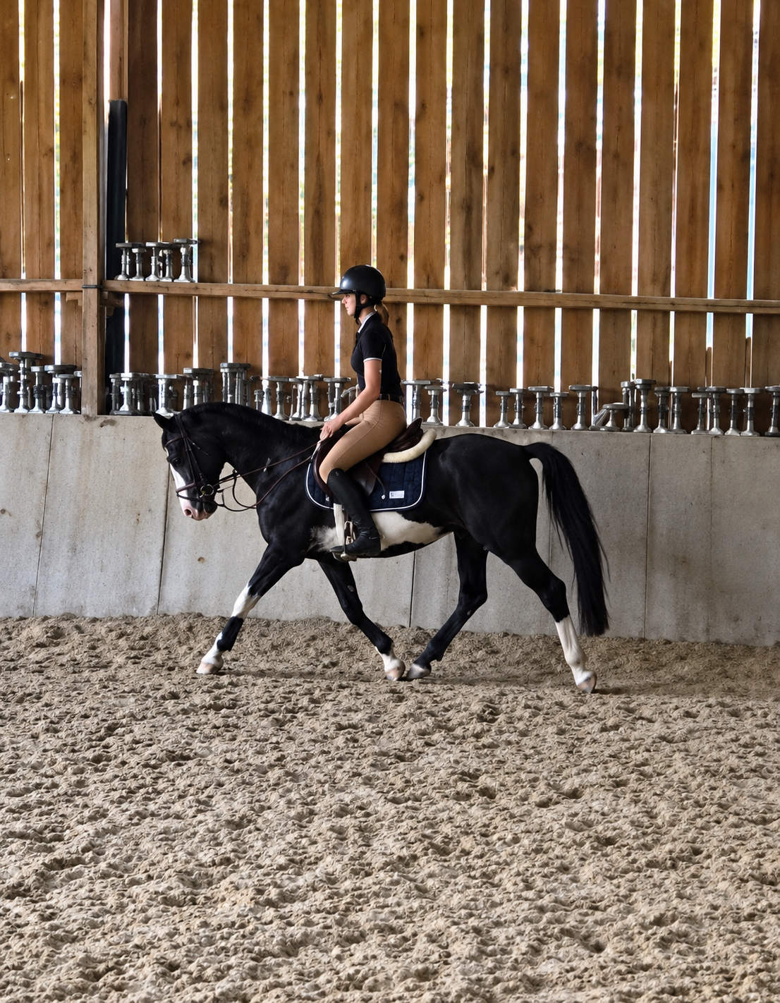 Cheval valorisé en concours