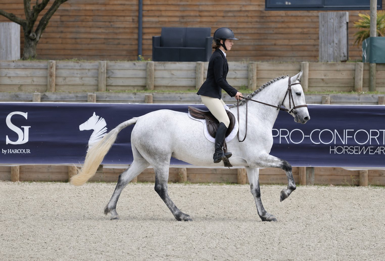 Cheval valorisé en concours