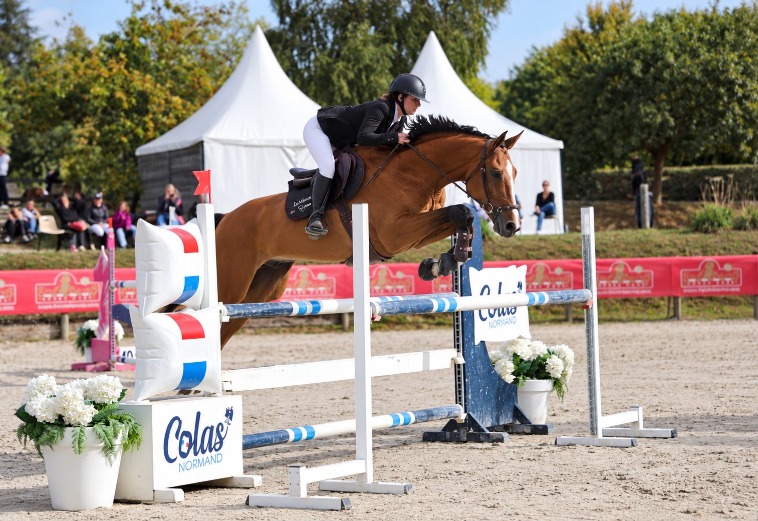 Cheval valorisé en concours